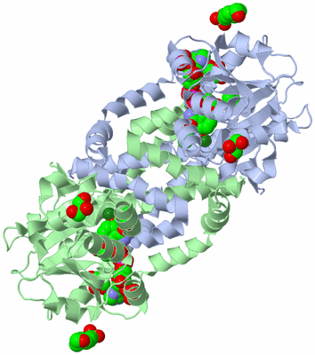 Image Asym./Biol. Unit