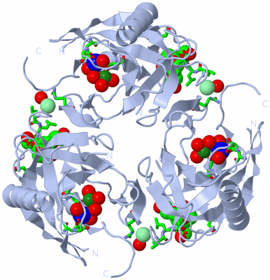 Image Biol. Unit 1 - sites