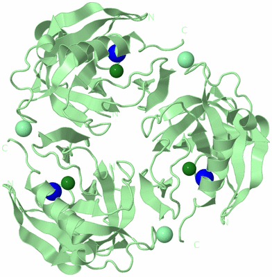 Image Biological Unit 2