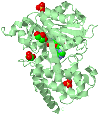 Image Biological Unit 2