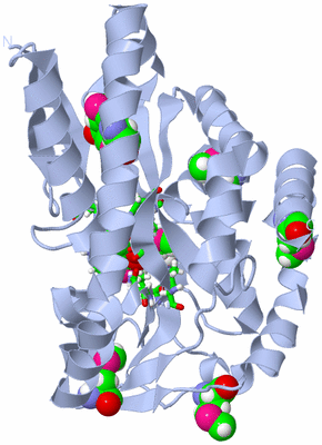 Image Biol. Unit 1 - sites