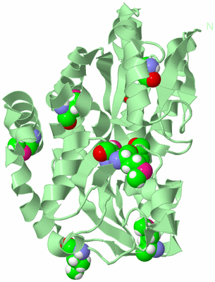 Image Biological Unit 2