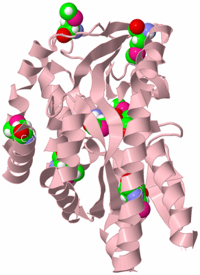 Image Biological Unit 3