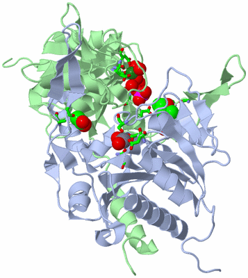 Image Biol. Unit 1 - sites