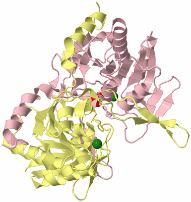 Image Biological Unit 2