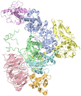 Image Biological Unit 1