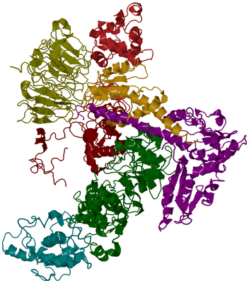 Image Biological Unit 2