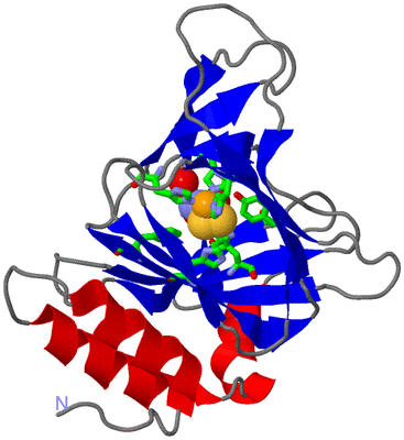 Image Asym./Biol. Unit - sites