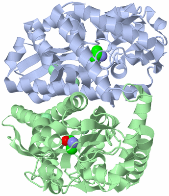 Image Asym./Biol. Unit