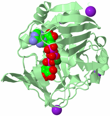 Image Biological Unit 2