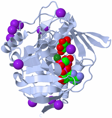 Image Biological Unit 1