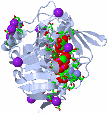 Image Biol. Unit 1 - sites