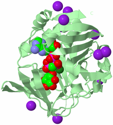 Image Biological Unit 2