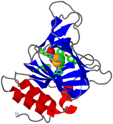 Image Asym./Biol. Unit - sites