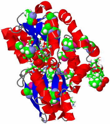 Image Asym./Biol. Unit - sites