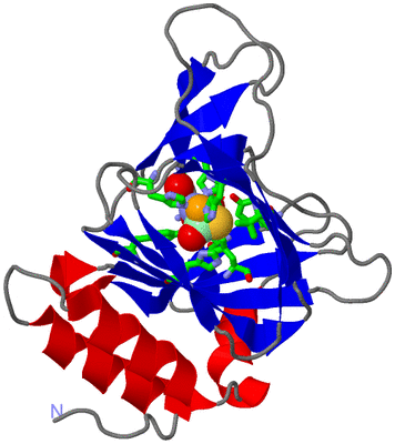 Image Asym./Biol. Unit - sites