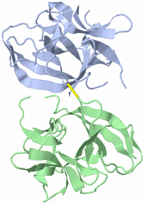 Image Biological Unit 3