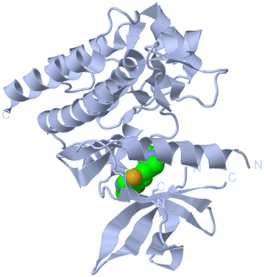 Image Biological Unit 1