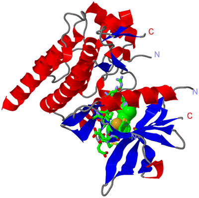 Image Asym./Biol. Unit - sites