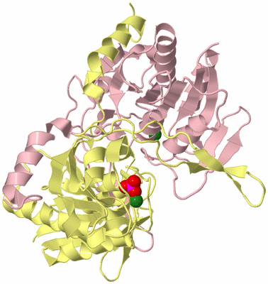 Image Biological Unit 2