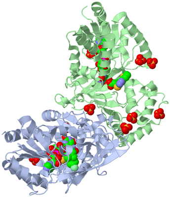 Image Asym./Biol. Unit