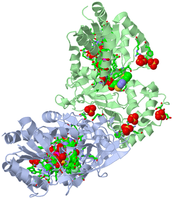 Image Asym./Biol. Unit - sites