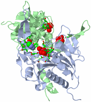 Image Biol. Unit 1 - sites