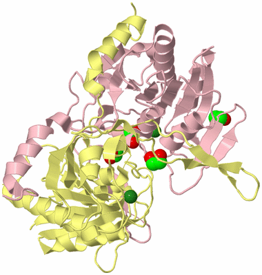 Image Biological Unit 2