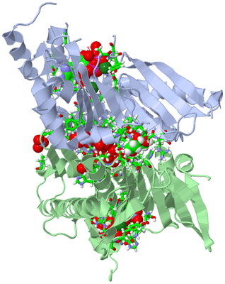 Image Asym./Biol. Unit - sites