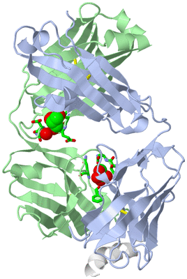 Image Biol. Unit 1 - sites