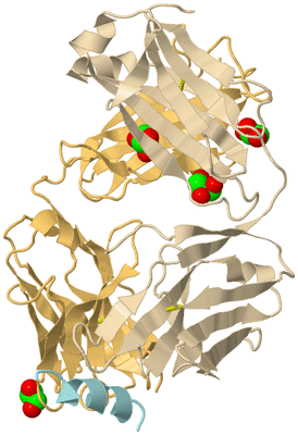 Image Biological Unit 4