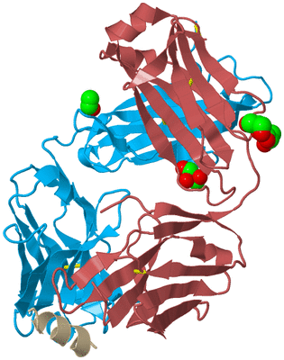 Image Biological Unit 6