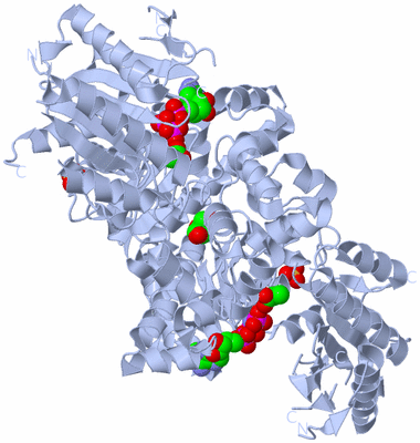 Image Biological Unit 1