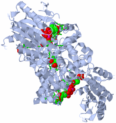 Image Biol. Unit 1 - sites