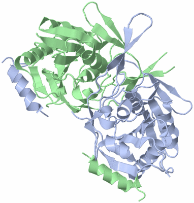 Image Asym./Biol. Unit