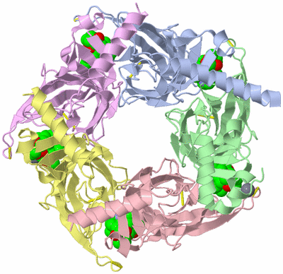 Image Biological Unit 1