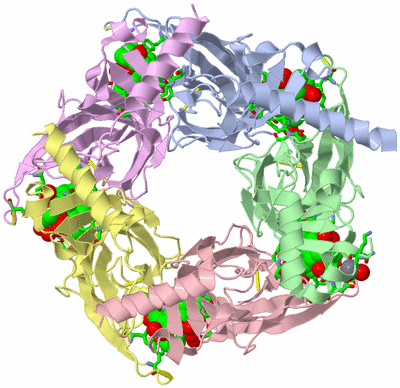 Image Biol. Unit 1 - sites