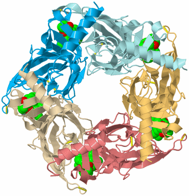 Image Biological Unit 2