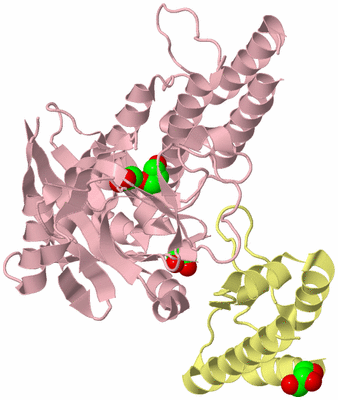 Image Biological Unit 1