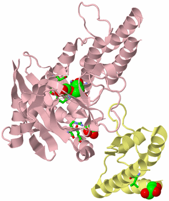 Image Biol. Unit 1 - sites