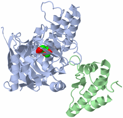 Image Biological Unit 2