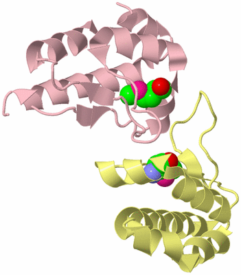 Image Biological Unit 2