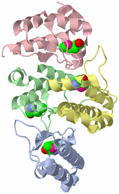 Image Biological Unit 3