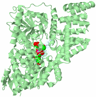 Image Biological Unit 2