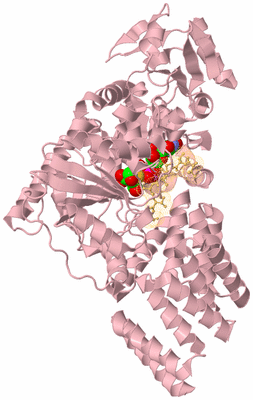 Image Biological Unit 3