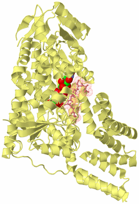 Image Biological Unit 4