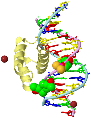 Image Biological Unit 2