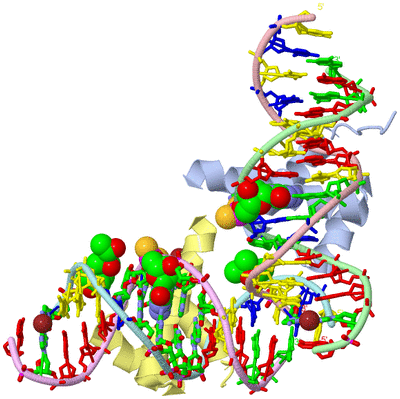 Image Asym. Unit - sites