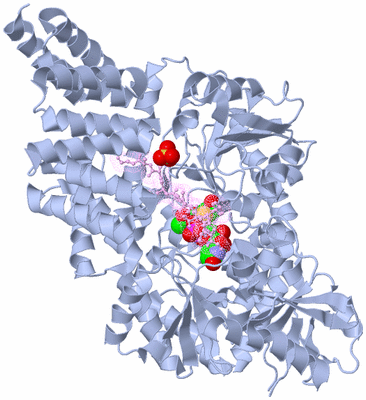 Image Biological Unit 1