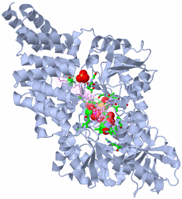 Image Biol. Unit 1 - sites